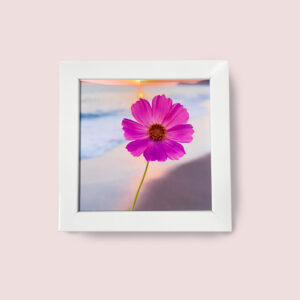 متال برد HD طرح گل